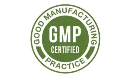 GMP standard production quality icon